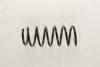 RENAU 7700816107 Coil Spring